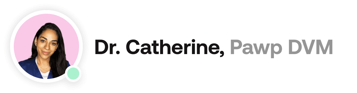 Dr. Catherine, Pawp DVM online text module